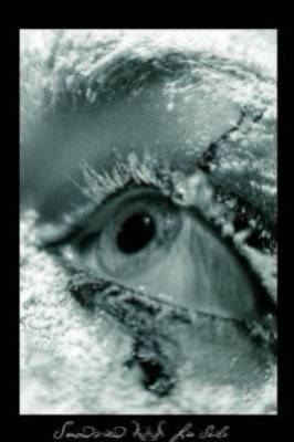 mon regard
