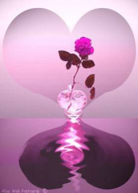 Notre fleur...